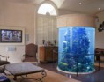 /album/aquarios%20na%20decora%c3%a7%c3%a3o/austin-11-jpg/