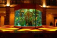 /album/aquarios%20na%20decora%c3%a7%c3%a3o/austin-39-jpg/